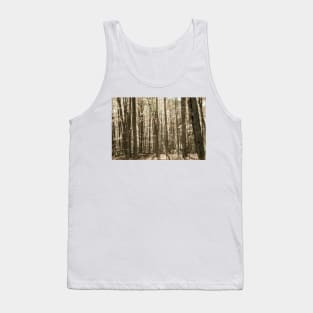 Autumn deep in forest scene on a trail in New England Tank Top